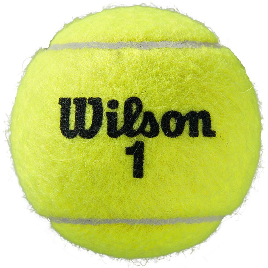 Wilson Piłki do tenisa ziemnego Roland Garros All Court 3pcs WRT126400