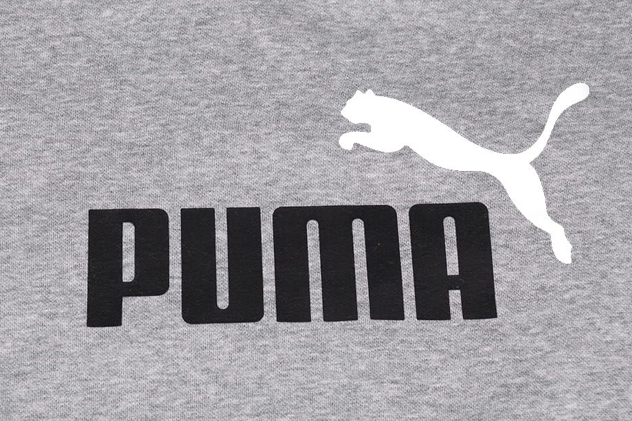 PUMA Bluza dla dzieci ESS+ 2 Col Big Logo Crew FL 586986 03