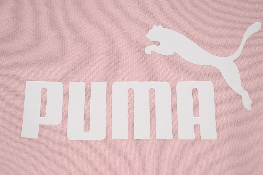 PUMA Bluza dla dzieci ESS Logo Hoodie FL 587031 36