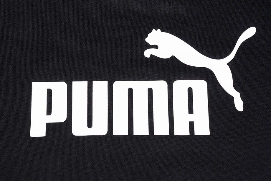 PUMA Bluza męska ESS Big Logo Crew FL 586678 01