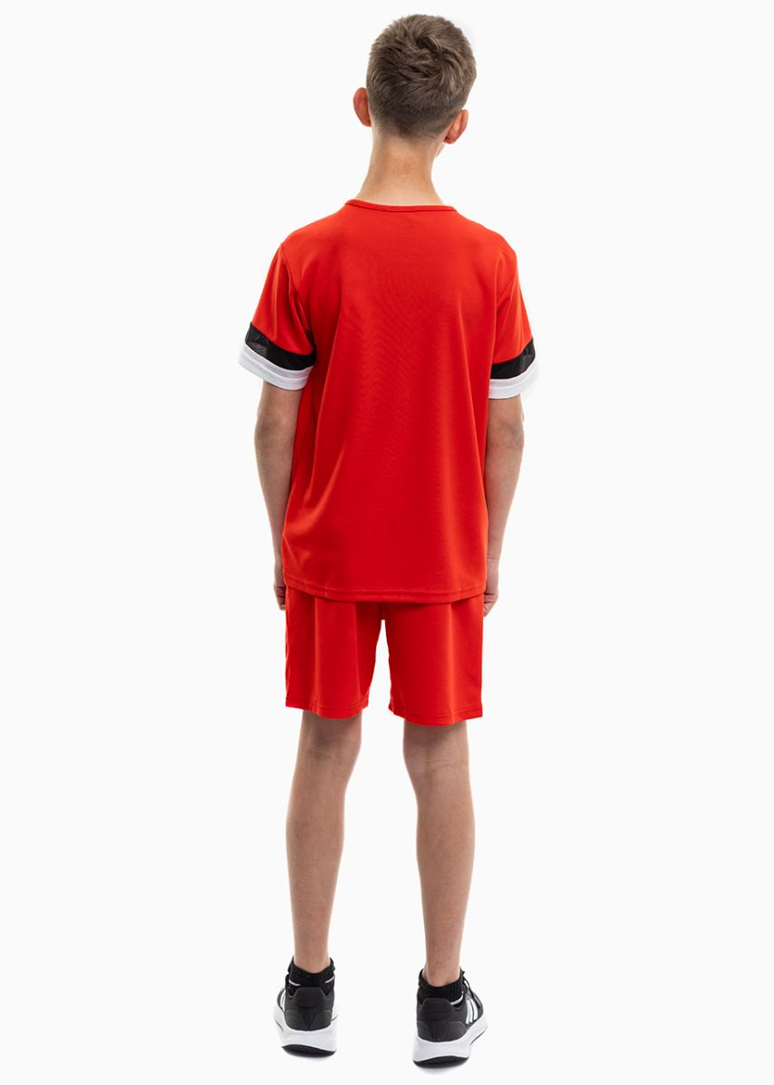 PUMA dziecięcy strój sportowy koszulka spodenki teamRISE Jersey Jr 704938 01/704943 01