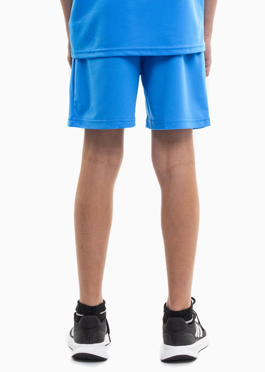 PUMA dziecięcy strój sportowy koszulka spodenki teamRISE Jersey Jr 704938 02/704943 02