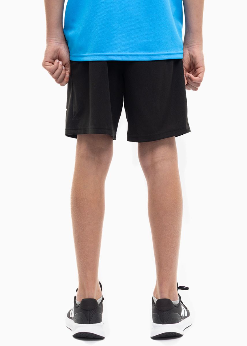PUMA dziecięcy strój sportowy koszulka spodenki teamRISE Jersey Jr 704938 02/704943 04