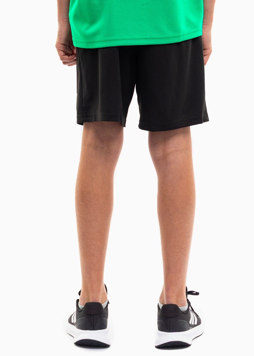 PUMA dziecięcy strój sportowy koszulka spodenki teamRISE Jersey Jr 704938 05/704943 04 PUMA dziecięcy strój sportowy koszulka spodenki teamRISE Jersey Jr 704938 05/704943 04