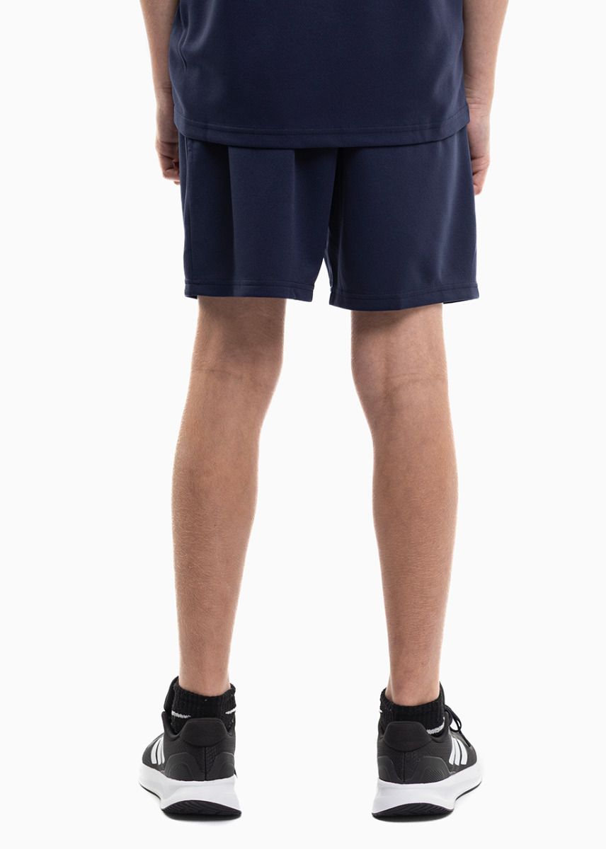 PUMA dziecięcy strój sportowy koszulka spodenki teamRISE Jersey Jr 704938 06/704943 06