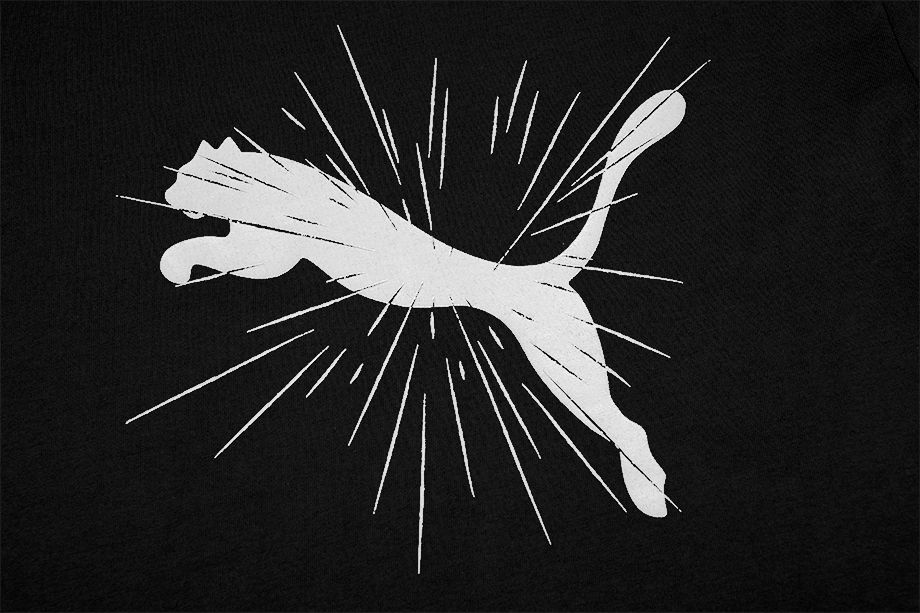 PUMA Koszulka męska Cat Graphic Tee 589268 01 PUMA Koszulka męska Cat Graphic Tee 589268 01