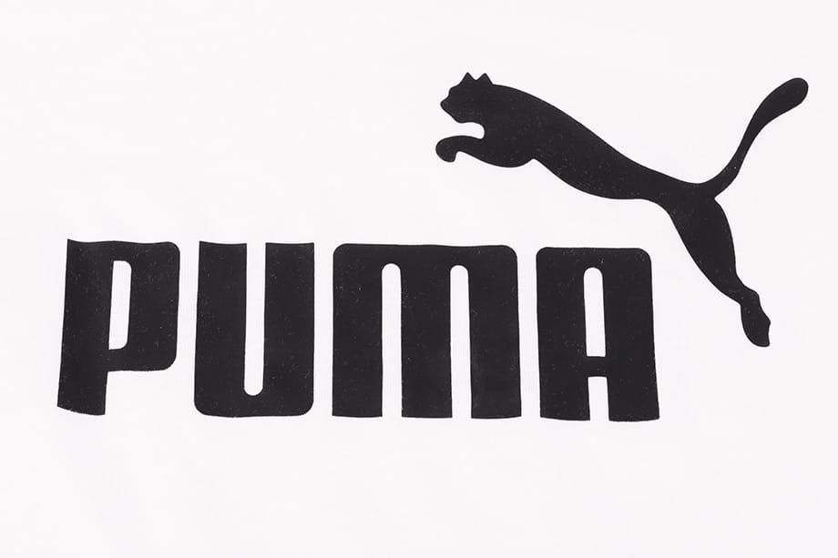 PUMA Koszulka męska ESS Logo Tee 586666 02