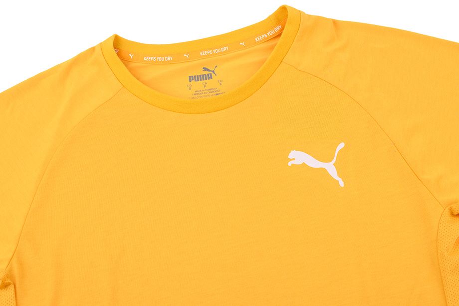 Puma Koszulka męska Evostripe Lite Tee 581534 25