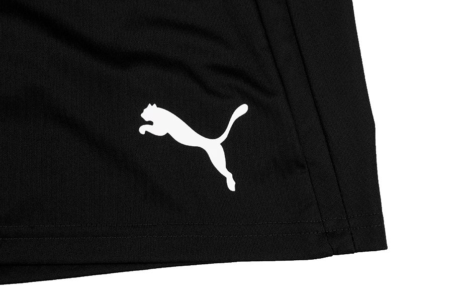 PUMA męski strój sportowy koszulka spodenki teamLIGA Jersey 704917 04/704924 03 PUMA męski strój sportowy koszulka spodenki teamLIGA Jersey 704917 04/704924 03