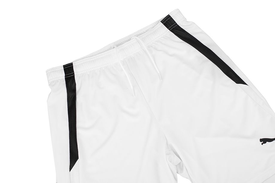 PUMA męski strój sportowy koszulka spodenki teamLIGA Jersey 704917 04/704924 04 PUMA męski strój sportowy koszulka spodenki teamLIGA Jersey 704917 04/704924 04