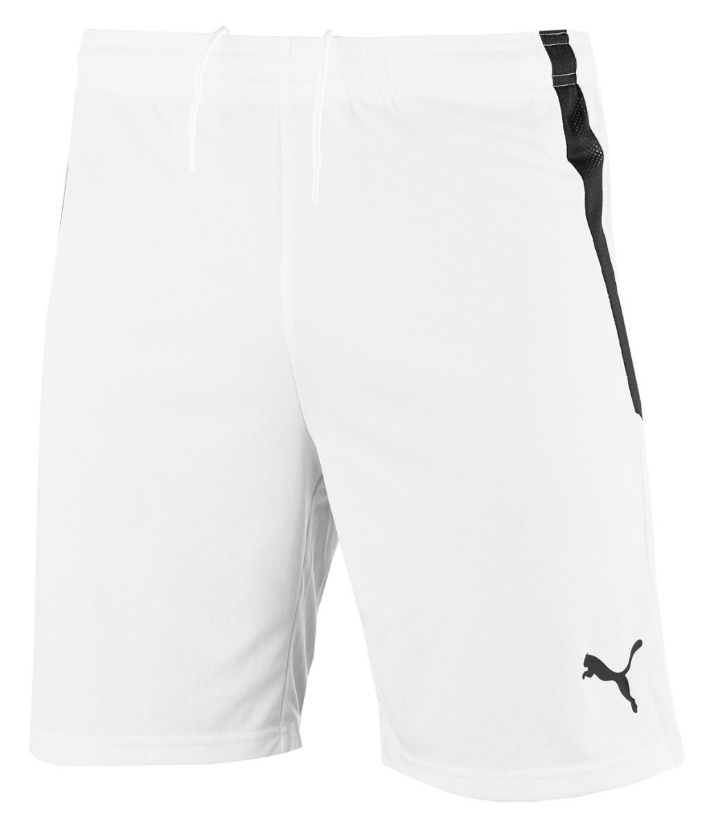 PUMA męski strój sportowy koszulka spodenki teamLIGA Jersey 704917 04/704924 04 PUMA męski strój sportowy koszulka spodenki teamLIGA Jersey 704917 04/704924 04