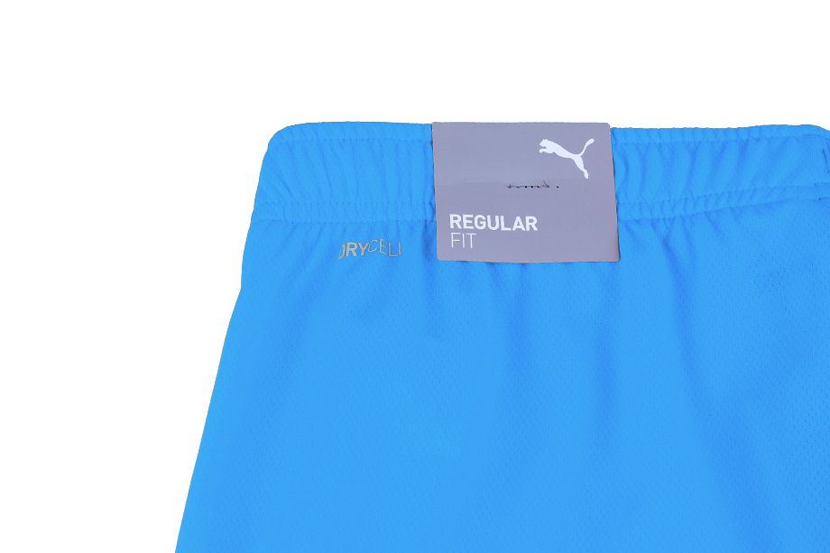 PUMA męski strój sportowy koszulka spodenki teamRISE Jersey 704932 02/704942 02