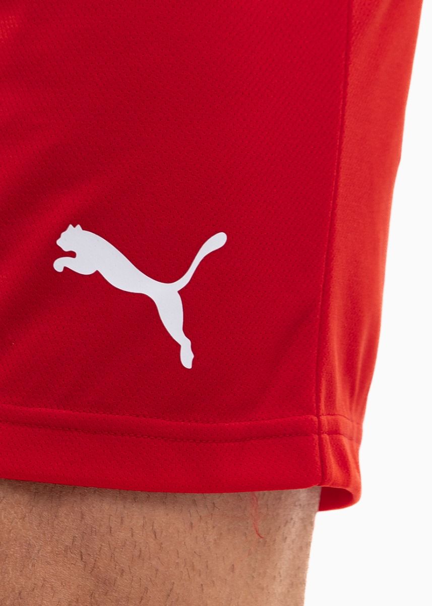 PUMA męski strój sportowy koszulka spodenki teamRISE Jersey 704932 01/704942 01 PUMA męski strój sportowy koszulka spodenki teamRISE Jersey 704932 01/704942 01