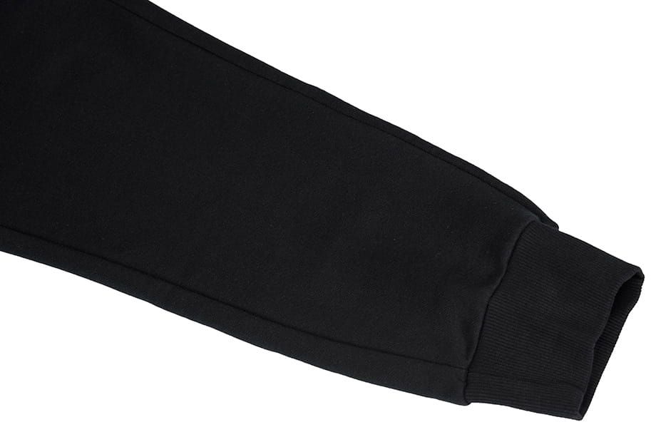PUMA Spodnie męskie ESS Logo Pants FL 586714 01 PUMA Spodnie męskie ESS Logo Pants FL 586714 01
