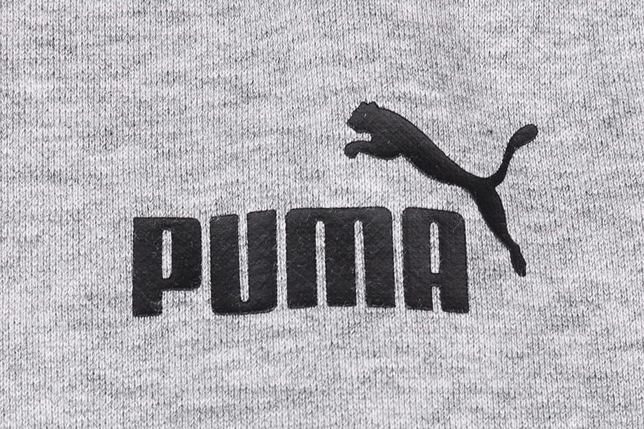 PUMA Spodnie męskie ESS Logo Pants FL 586714 03