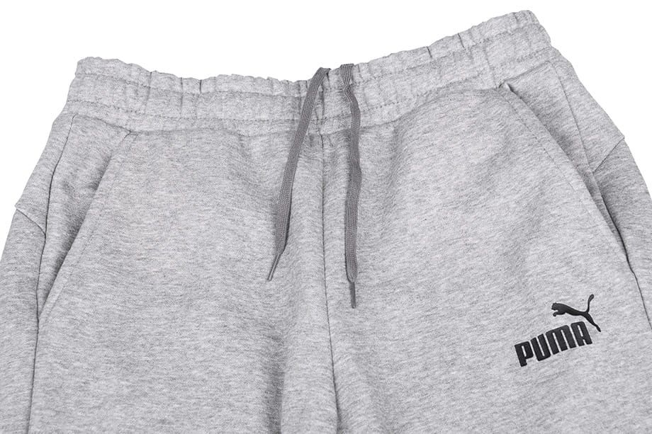 PUMA Spodnie męskie ESS Logo Pants FL 586714 03