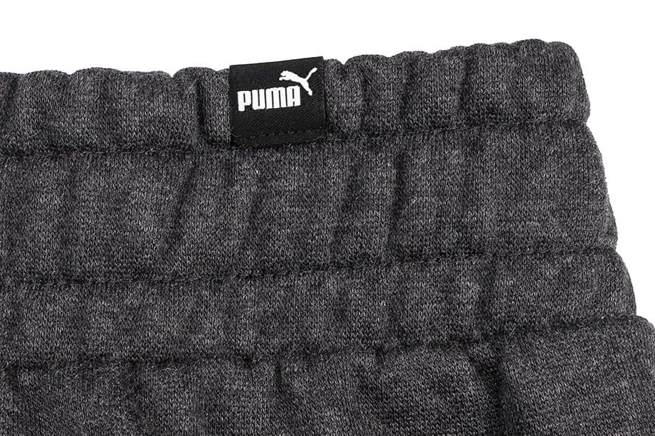 PUMA Spodnie męskie ESS Logo Pants FL 586714 07