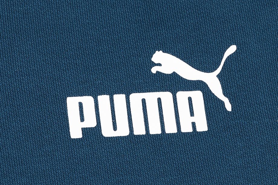 Puma Spodnie męskie ESS Logo Pants FL cl 853410 38