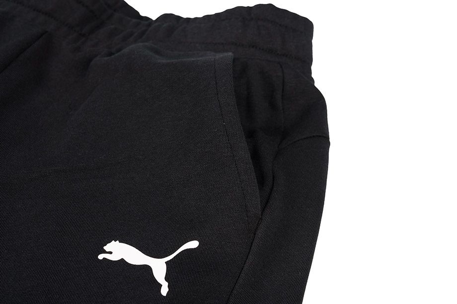 Puma Spodnie męskie ESS Logo Pants TR 586716 51