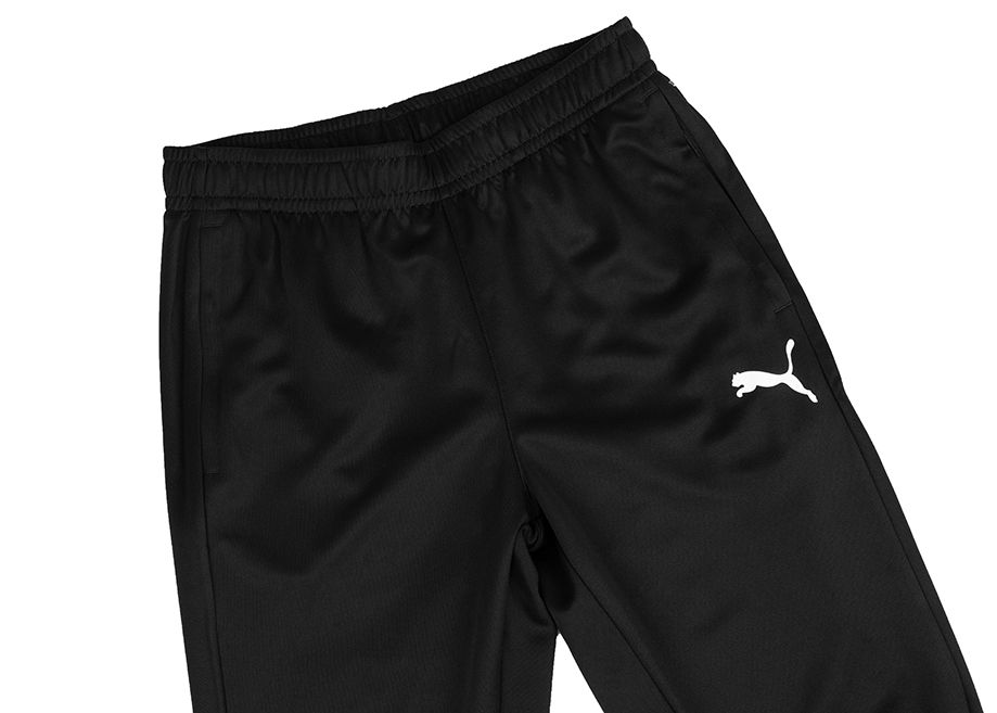 PUMA Spodnie męskie Team Goal Training 658639 03 PUMA Spodnie męskie Team Goal Training 658639 03