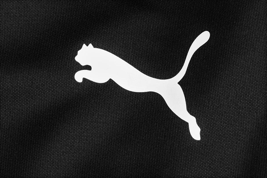 PUMA Spodnie męskie teamRISE Poly Training 657390 03 EUR XL OUTLET PUMA Spodnie męskie teamRISE Poly Training 657390 03 EUR XL OUTLET