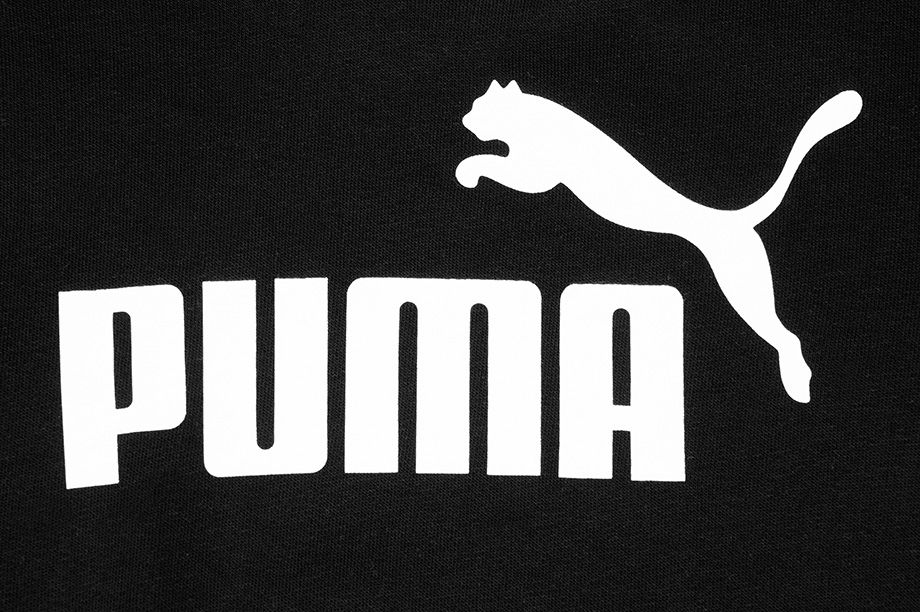 PUMA bluza damska Amplified Hoodie TR 585910 01