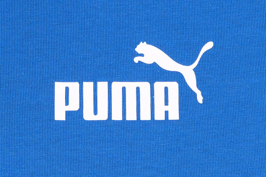 Puma koszulka męska Amplified Tee 585778 13