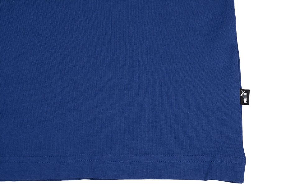 Puma koszulka męska Amplified Tee 585778 12