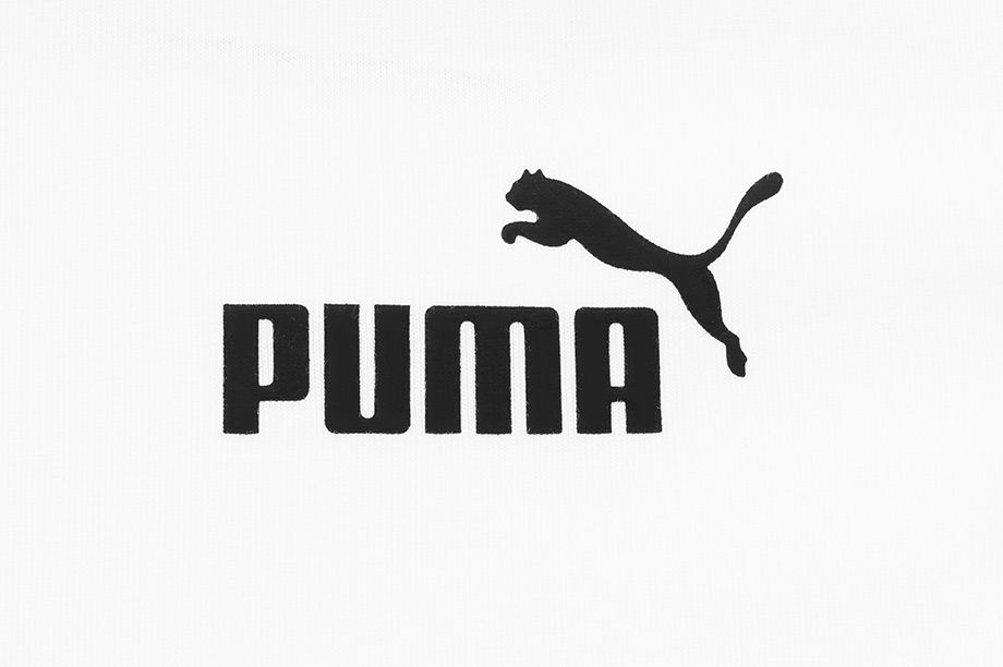 Puma koszulka męska Amplified Tee 585778 02