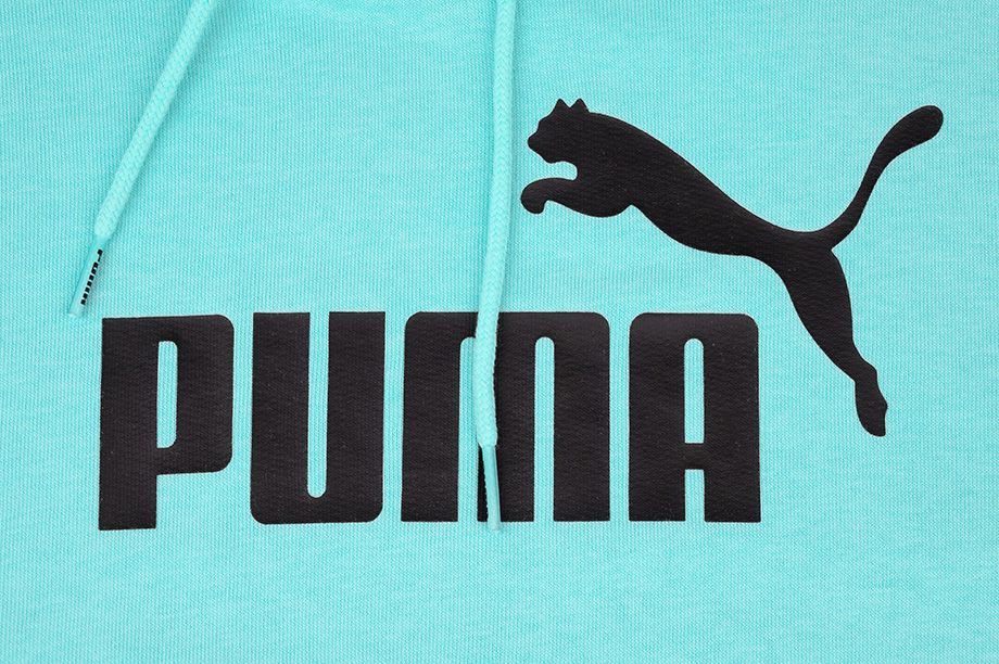 Puma bluza męska Amplified Hoodie TR 585783 49