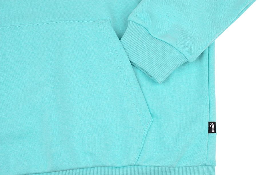 Puma bluza męska Amplified Hoodie TR 585783 49