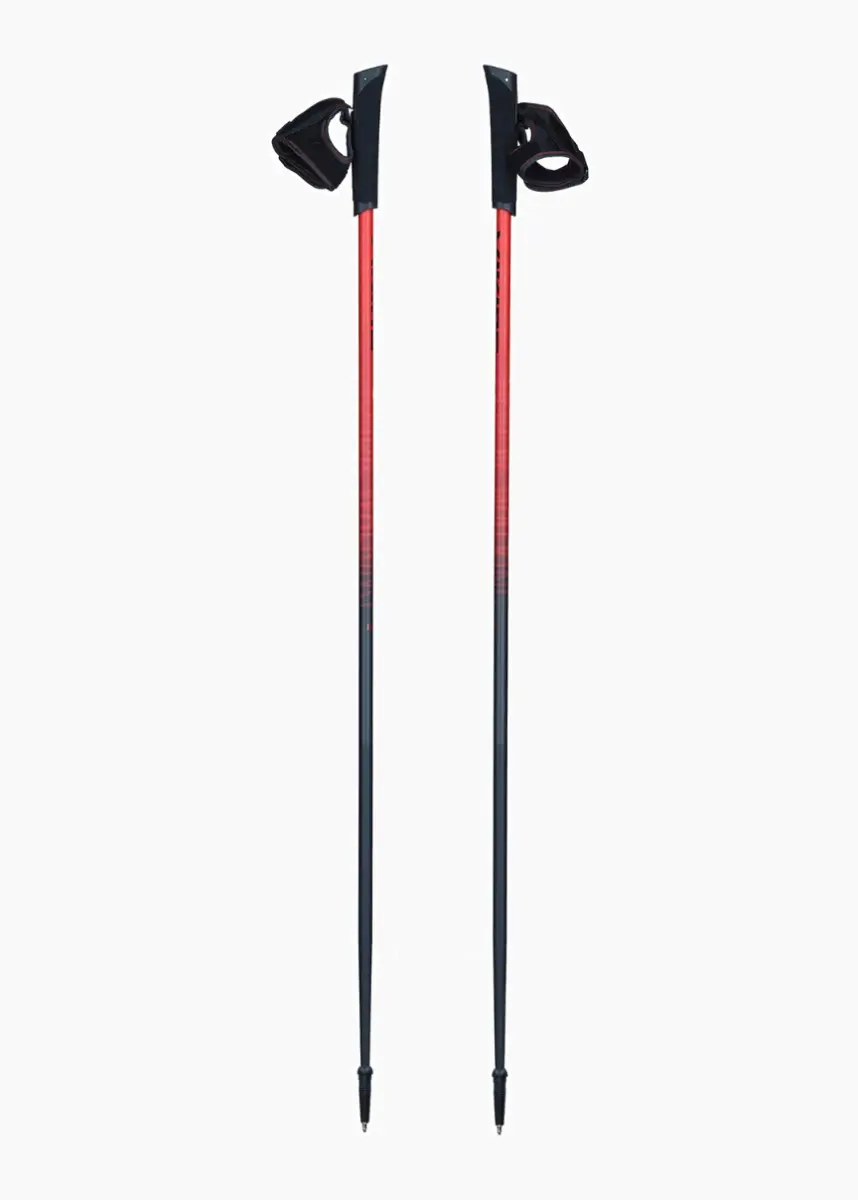 Kijki Nordic Walking Viking Pro-Trainer 120 cm 650-20-7879-34-120