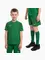 Zdjęcie Komplet sportowy dla małych dzieci Nike Dri-Fit Park VIII HV8260 302 wariantu produktu