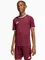 Zdjęcie Koszulka dla dzieci adidas Entrada 26 Jersey JZ2530 wariantu produktu