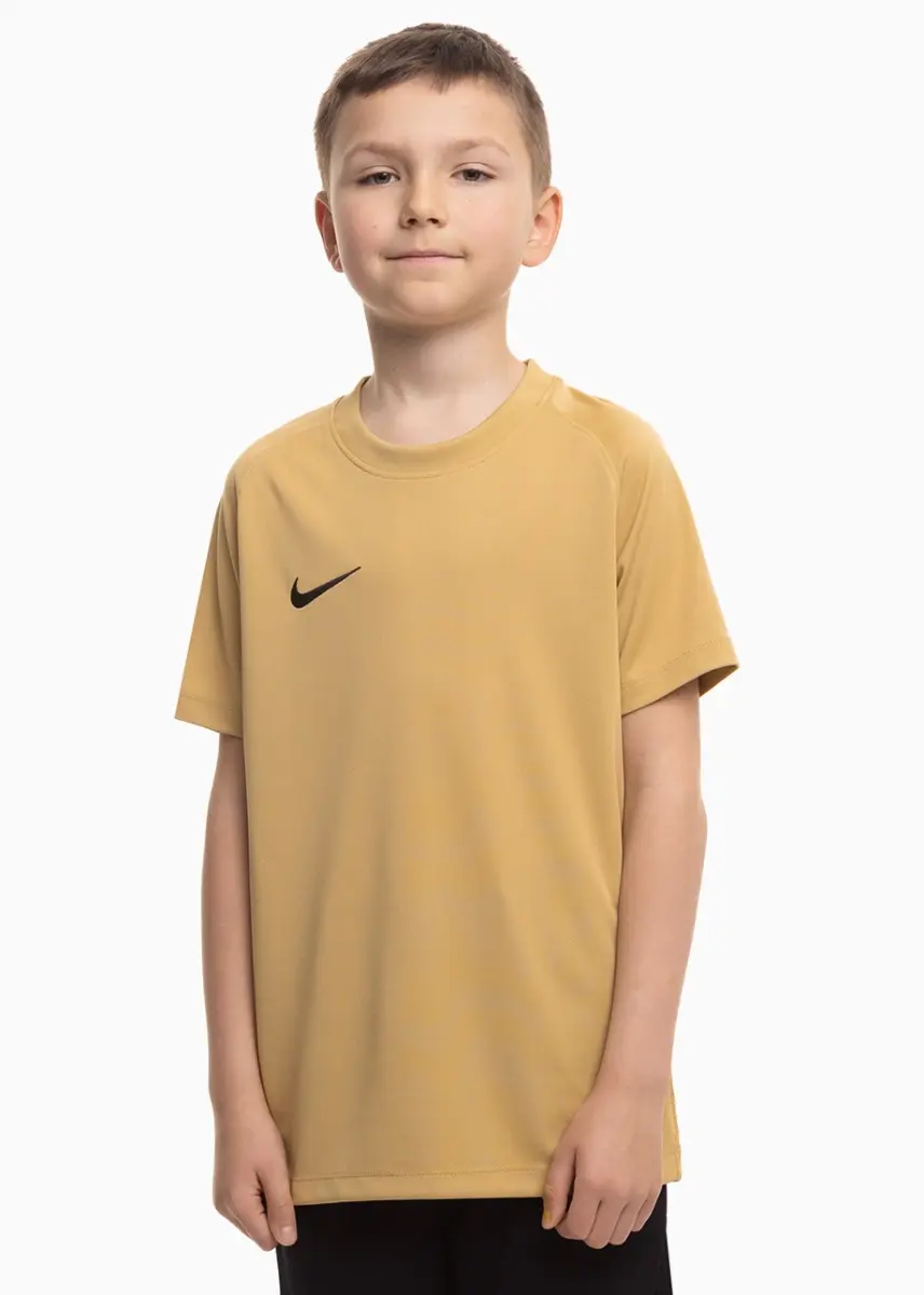 Koszulka dla dzieci Nike Dri-Fit Park VIII HV8182 729