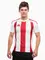 Zdjęcie adidas Koszulka męska Striped 24 Jersey IW2142 wariantu produktu