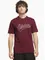 Zdjęcie Koszulka męska adidas Varsity Tailsweep Graphic KS2180 wariantu produktu