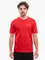 Zdjęcie Koszulka męska Champion SS Tee 221798 RS067 wariantu produktu