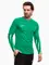 Zdjęcie Koszulka męska Nike Dri-Fit Park V Stadium HV8314 324 wariantu produktu
