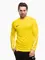 Zdjęcie Koszulka męska Nike Dri-Fit Park V Stadium HV8314 718 wariantu produktu