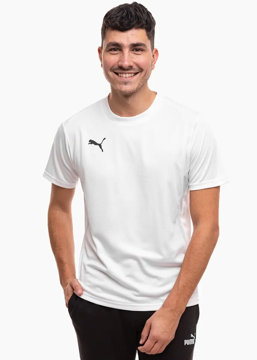Koszulka męska Puma TeamGoal Jersey 658636 04