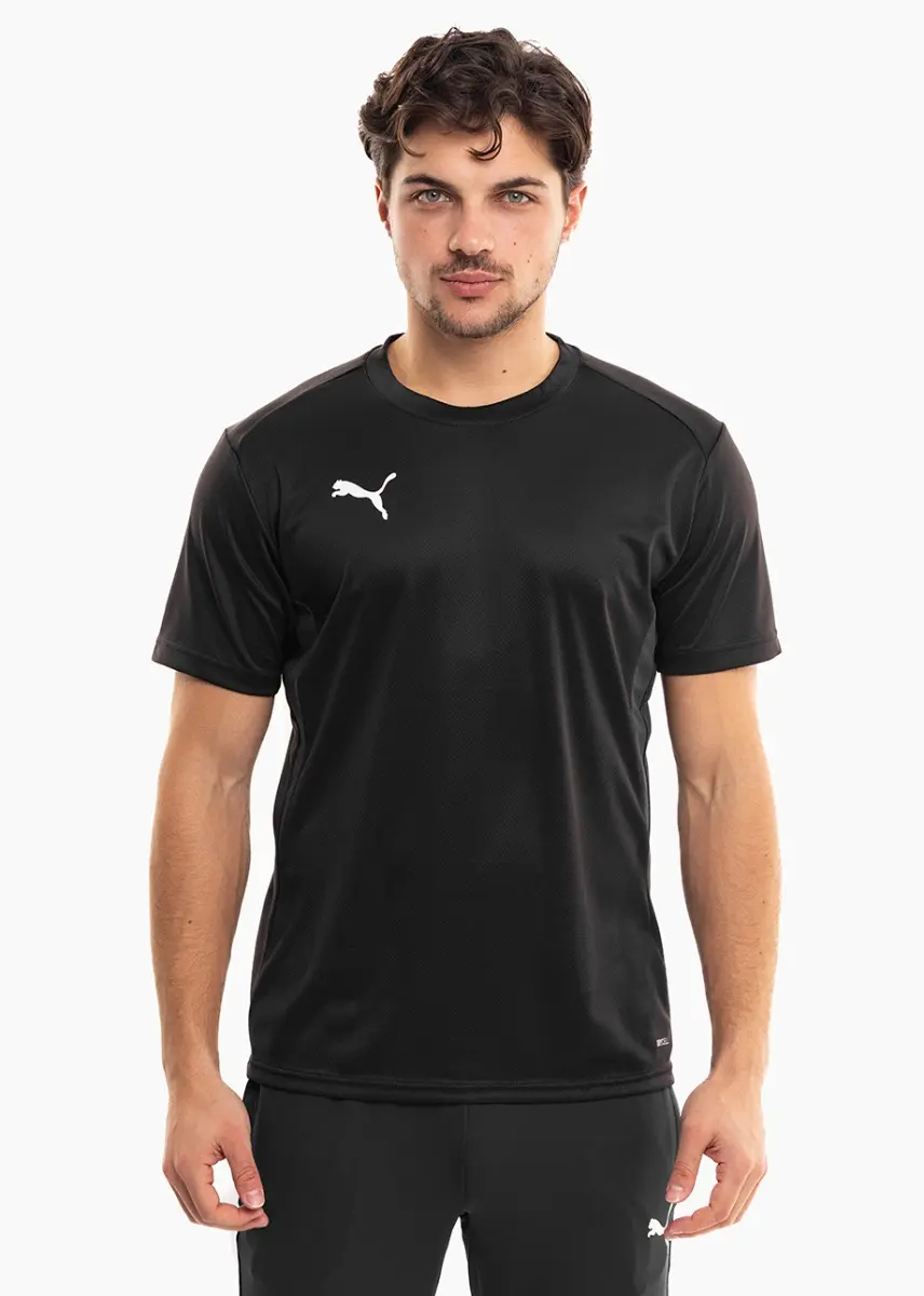 PUMA Koszulka męska TeamGoal Jersey 658636 03