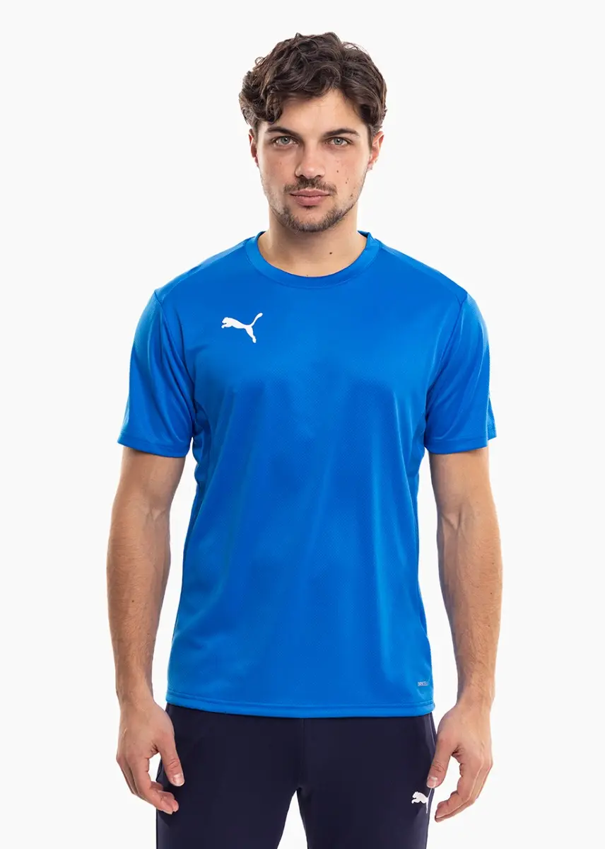 PUMA Koszulka męska TeamGoal Jersey 658636 02