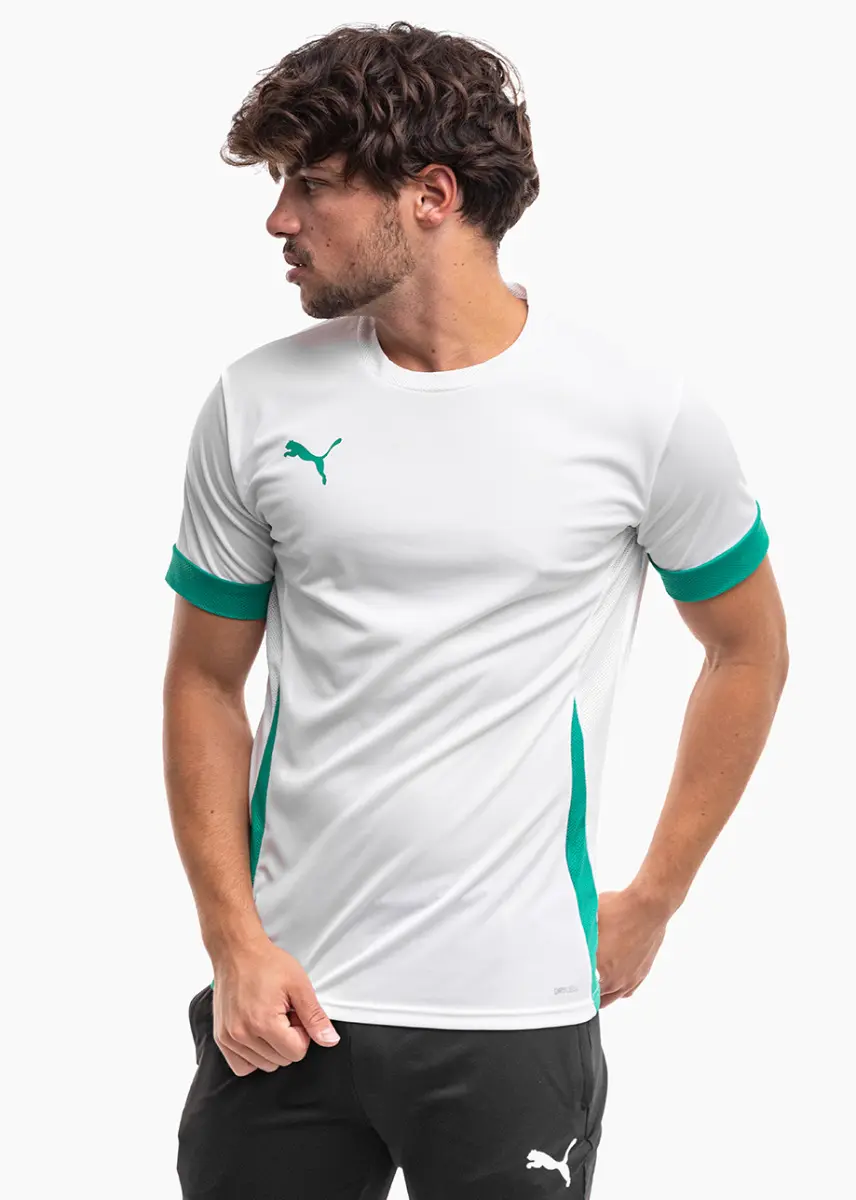 PUMA Koszulka męska teamGoal Matchday Jersey 705747 15
