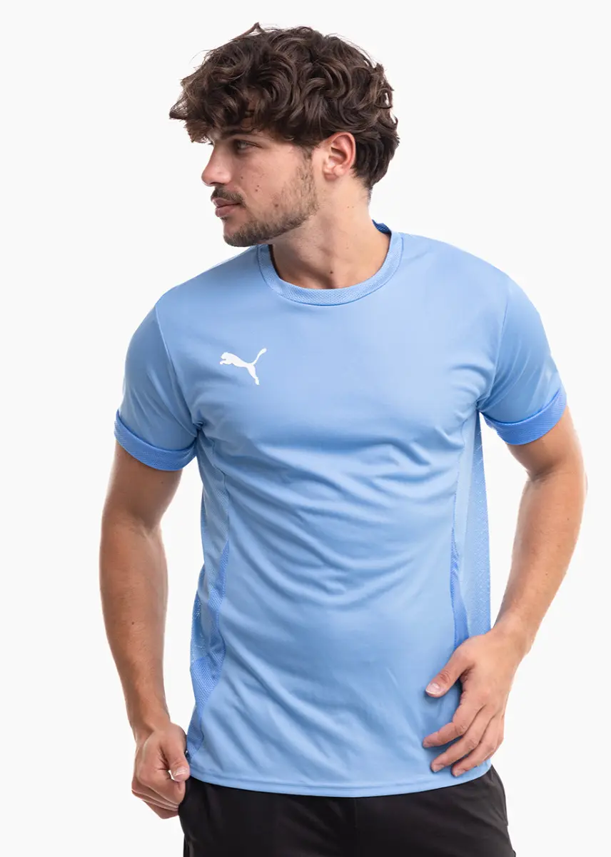PUMA Koszulka męska teamGoal Matchday Jersey 705747 18