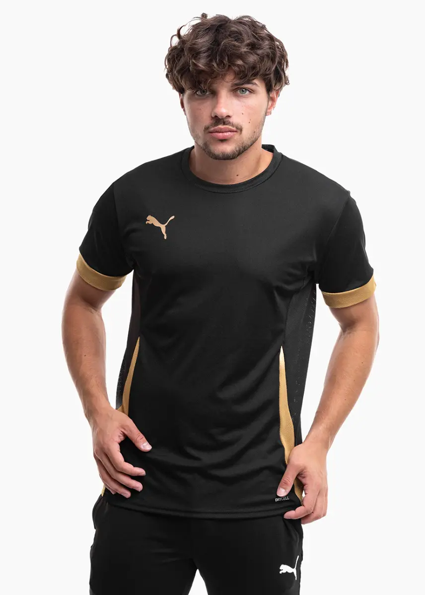 PUMA Koszulka męska teamGoal Matchday Jersey 705747 28
