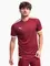 Zdjęcie PUMA Koszulka męska teamLIGA Jersey 704917 09 wariantu produktu