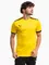 Zdjęcie PUMA Koszulka męska teamLIGA Jersey 704917 07 wariantu produktu