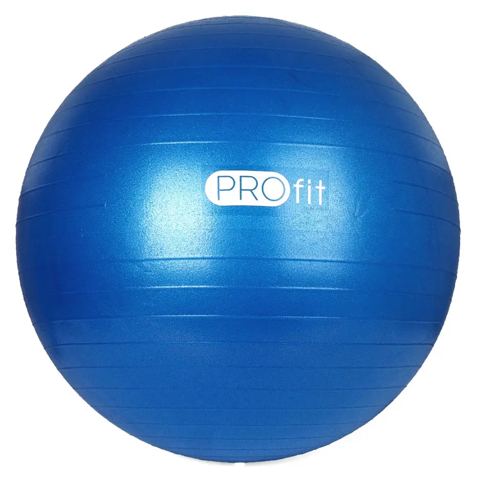 Profit Piłka gimnastyczna z pompką 65 cm DK 2102 2