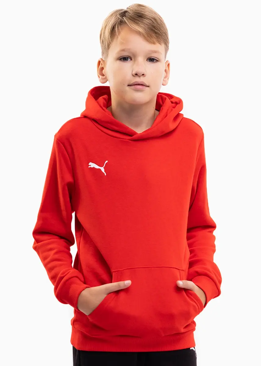 PUMA bluza dziecieca teamGOAL 23 Casuals Hoody Jr 656711 01